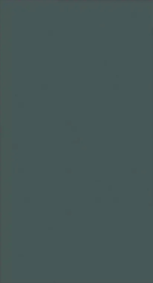 Zurfiz Supermatt Kombu Green