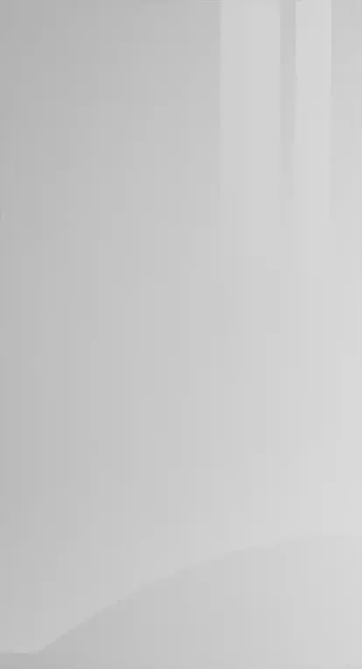 Zurfiz Ultragloss Light Grey