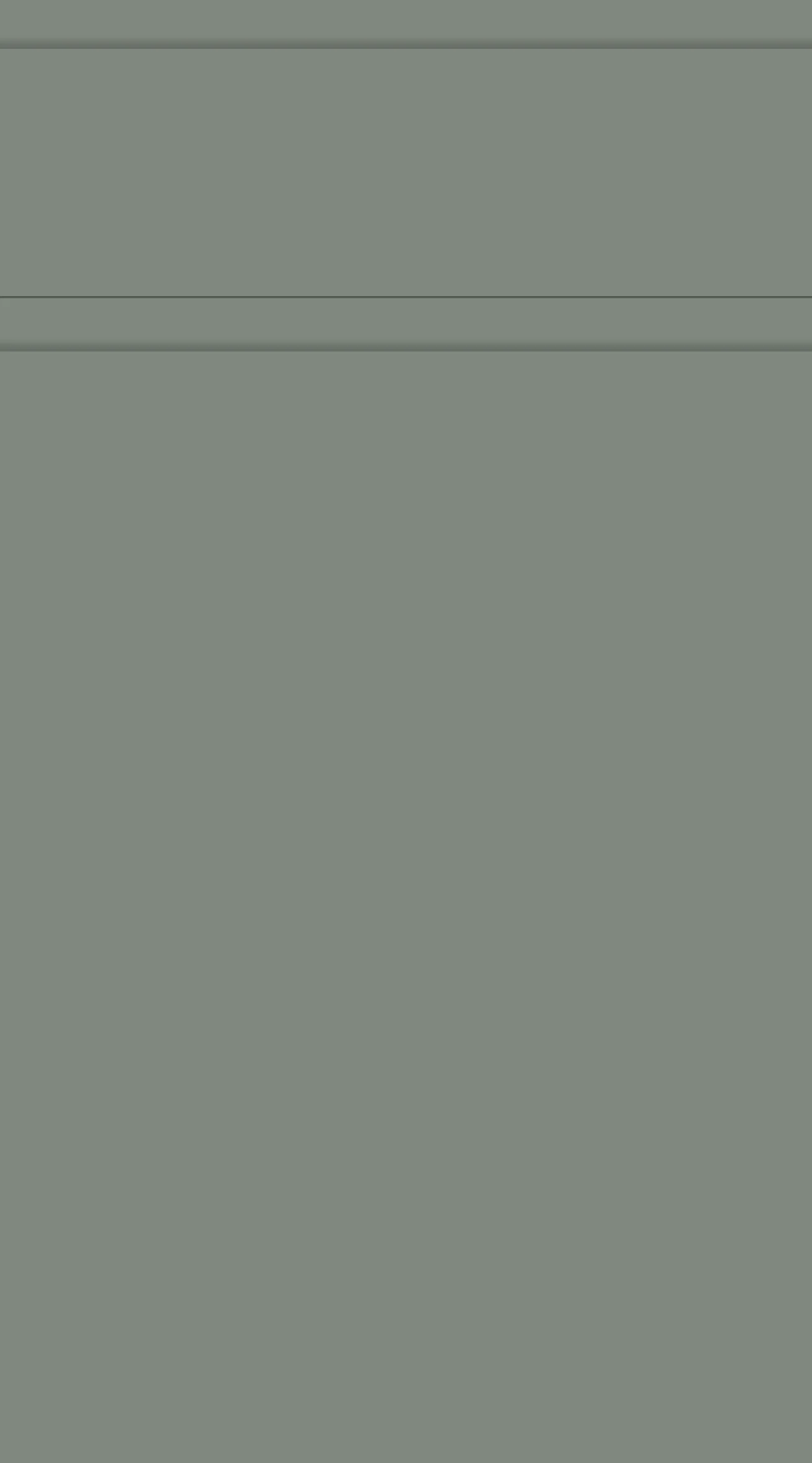 Handleless Doors Jayline Supermatt Sage Green